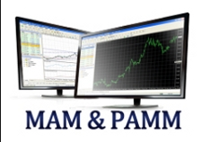 PAMM LAMM MAM