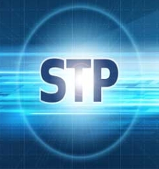 stp brokers